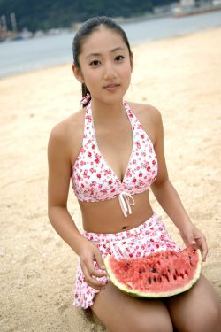 南邻锦里夏小正